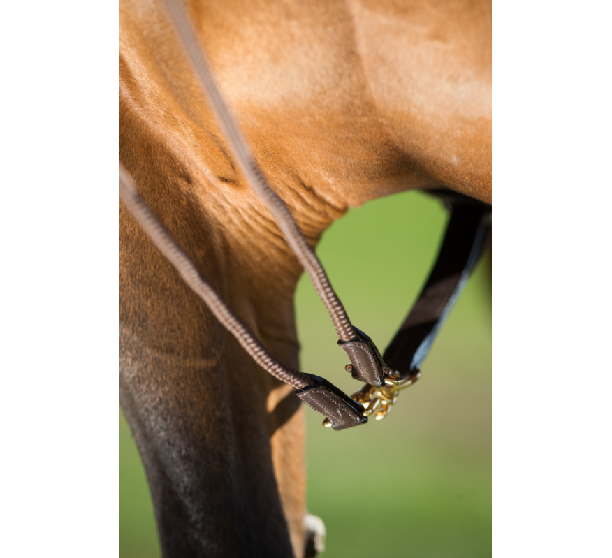 HFI Draw Reins with Rope