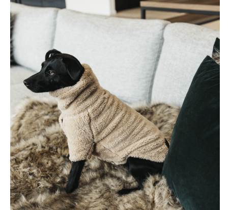 KENTUCKY Dog Sweater Teddy Fleece