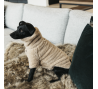KENTUCKY hunde pullover Teddy Fleece