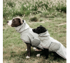 KENTUCKY Dog Coat Waterproof