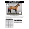 HORSEWARE Rambo Stable Sheet Chemise Coton