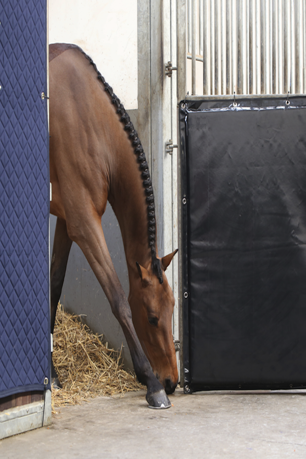 Our lightweight Kick Pad is easy to take with you and offers your horse the protection it needs, wherever he goes.