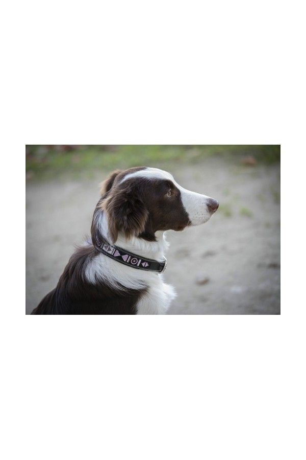 PENELOPE Dog Collar Pearl