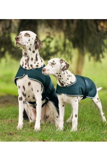 WALDHAUSEN Dog Raincoat