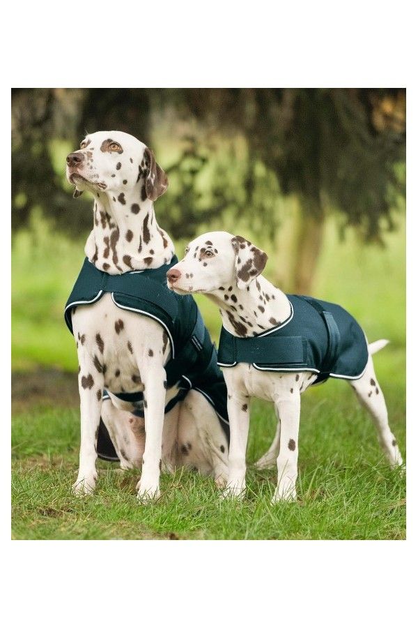 WALDHAUSEN Dog Raincoat