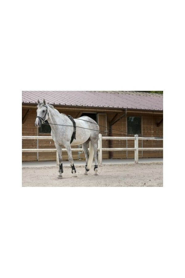 RIDING WORLD Longues rênes