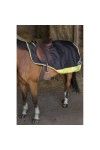 EQUITHEME Tyrex 600D Reflective Kidney Cover