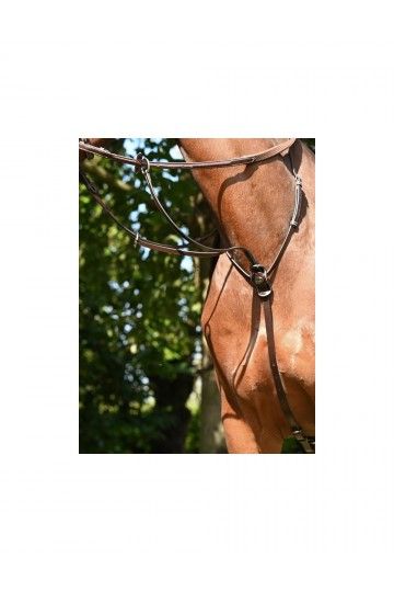 JUMP'IN Ring martingale