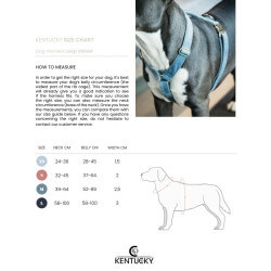 KENTUCKY Dog Harness Loop Velvet - Kentucky - Foolfashion.ch