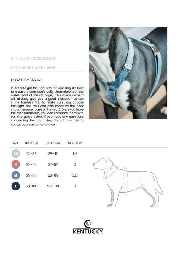KENTUCKY Hundegeschirr Loop Velvet - Kentucky - Foolfashion.ch
