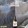CBD Dermite