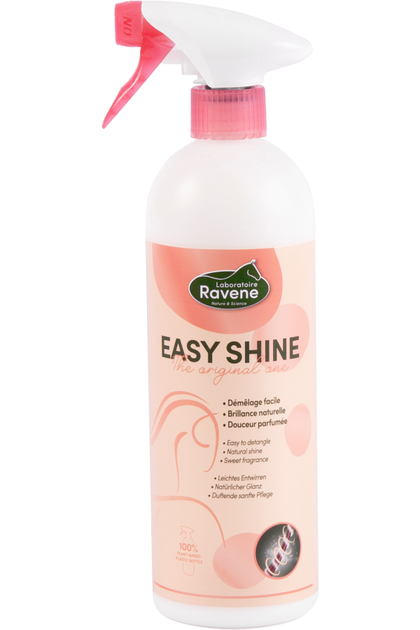 RAVENE Easy shine spray
