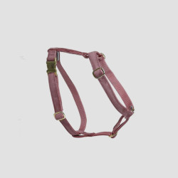 KENTUCKY Hundegeschirr Velvet Loop