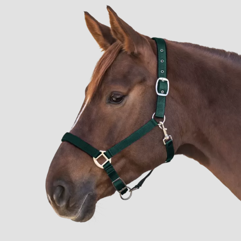 WALDHAUSEN Licol satin - Waldhausen - Foolfashion.ch