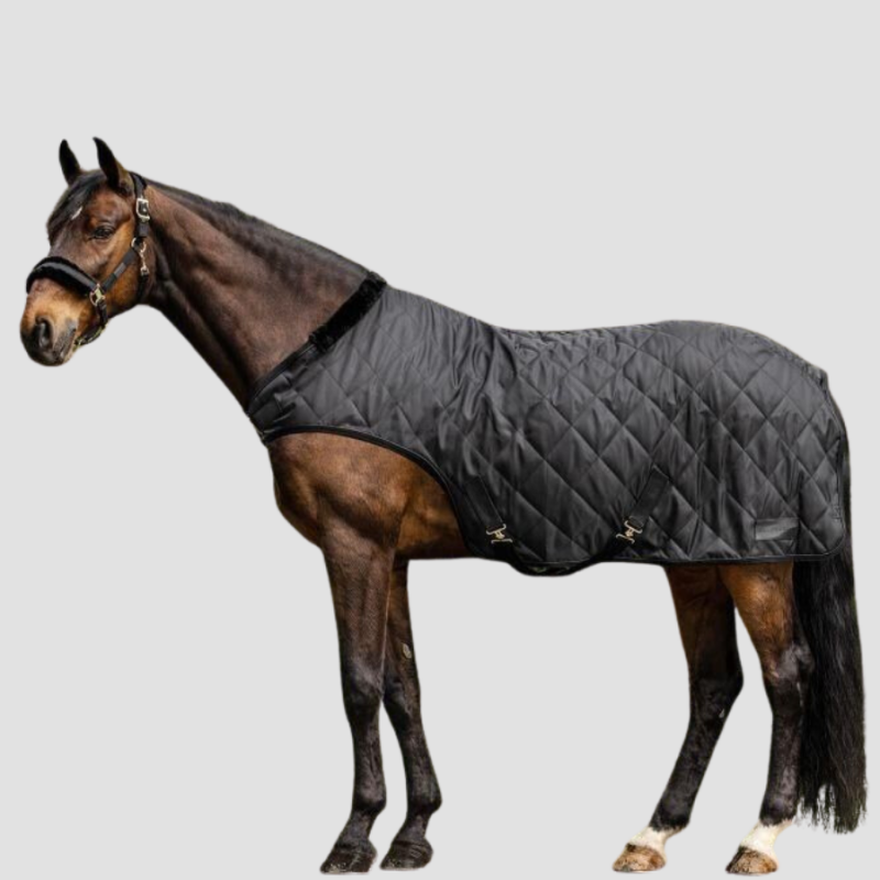 WALDHAUSEN Couverture de marcheur exclusive 50g - Waldhausen - Foolfashion.ch