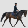 DY'ON Deutsche Zügel Leder/Hunter Grip 1/2 - DY'ON - Foolfashion.ch
