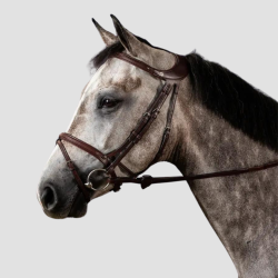 DY'ON Bridle Différence Thérapeutique - Dy'on - Foolfashion.ch