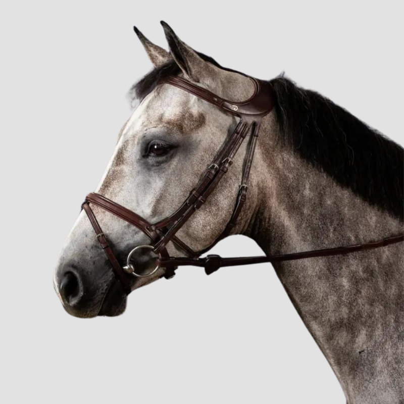 DY'ON Bridle Différence Thérapeutique - Dy'on - Foolfashion.ch