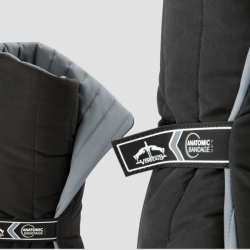 VEREDUS Anatomic Bandage Pad REAR
