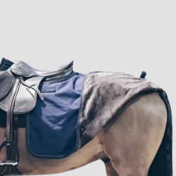 KENTUCKY Couvre-reins Carré All Weather - KENTUCKY - Foolfashion.ch