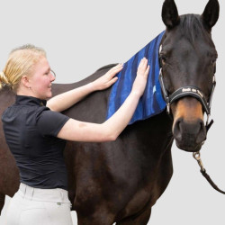 BACK ON TRACK Cool on track Erfrischendes Handtuch - Back On Track - Foolfashion.ch