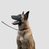 DY'ON Fancy Dog Collar - Dy'on - Foolfashion.ch
