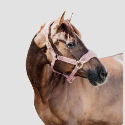 KENTUCKY Halter Teddy Fleece - Kentucky - Foolfashion.ch