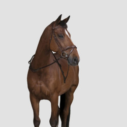 NORTON Zügel mit Griffen