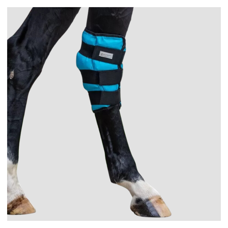 WALDHAUSEN Cooling Gel Hock Boots Unit