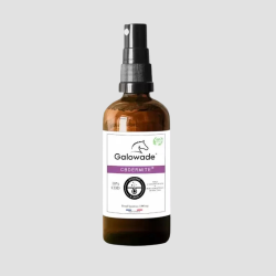 CBD Dermite