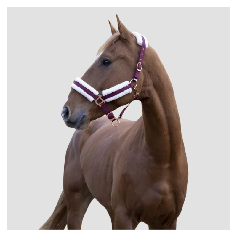 NORTON Comfort Halter