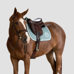 HARCOUR Siriel Saddle Pad