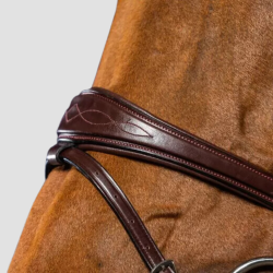 Anatomische Trense mit kombiniertem Reithalfter - DY'ON - Foolfashion.ch