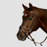 DY'ON Bridon Cuir Plat Avec Mousquetons - DY'ON - Foolfashion.ch