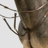 DY'ON Martingalgabel (Ringmartingal) - Dy'on - Foolfashion.ch