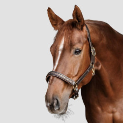 WALDHAUSEN Crystal Leather Halter - Waldhausen - Foolfashion.ch