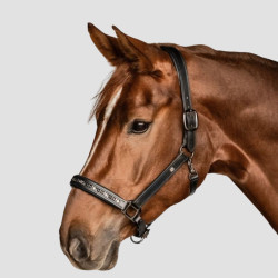 WALDHAUSEN Crystal leather halter