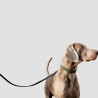 KENTUCKY Hundeleine Geflochten Nylon 200 cm - Kentucky - Foolfashion.ch
