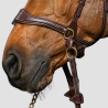 DY'ON Bridle D Motion