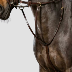 DY'ON Martingale a Anneaux - Dy'on - Foolfashion.ch