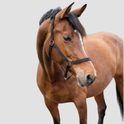 HKM Halfter Classic - Hkm - Foolfashion.ch