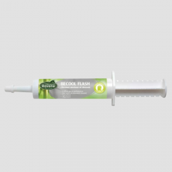 RAVENE Becool Flash Syringe