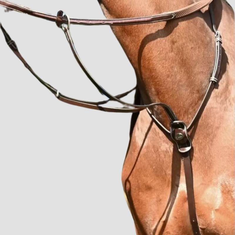 JUMP'IN Ring Martingale