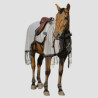 RIDING WORLD Chemise de travail anti-mouches
