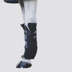 KENTUCKY Recuptex Magnetic Stable Boots - KENTUCKY - Foolfashion.ch