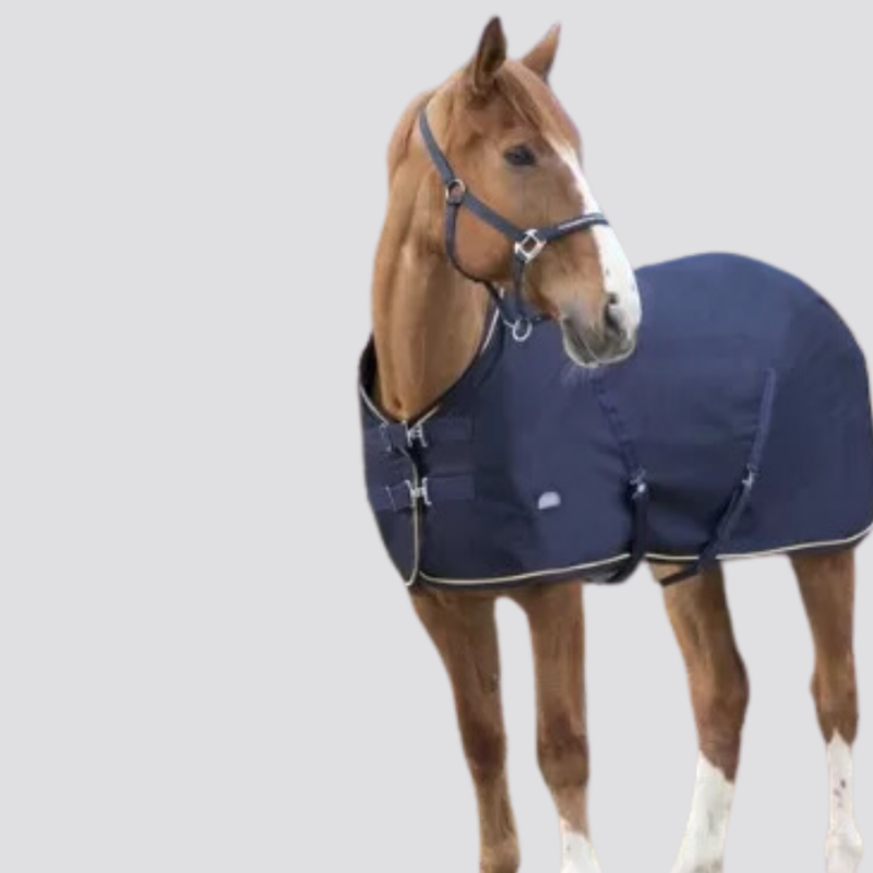 EQUITHEME Chemise Chic
