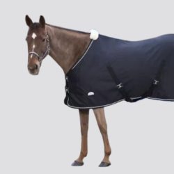 EQUITHEME Hemd Chic - EQUITHEME - Foolfashion.ch