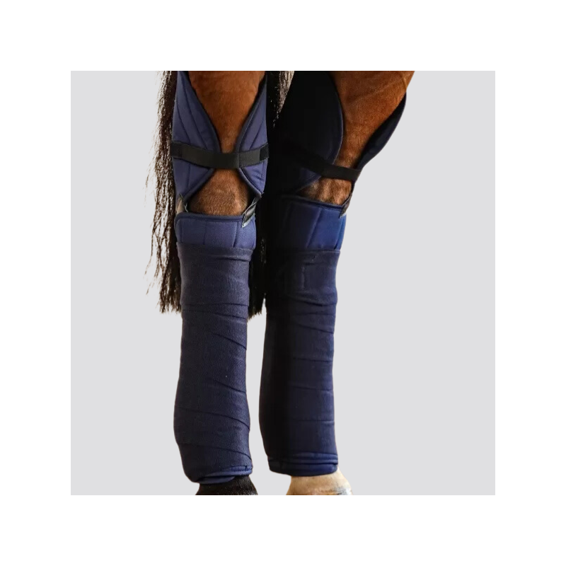 HARCOUR Cavaletti hock protectors