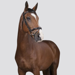 Norton Bridle Pro Découpé