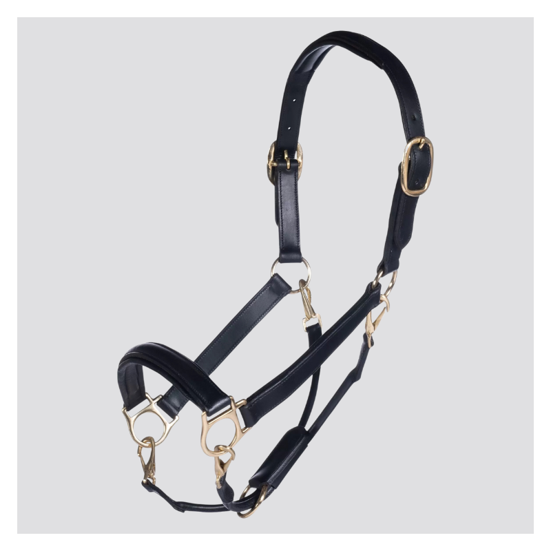 HKM Goldenes Lederhalfter